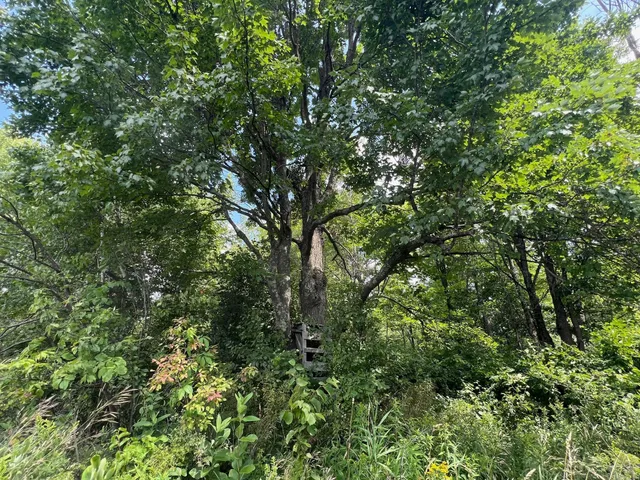 $314,900 | Tbd County Road M, Ogema, WI 54459