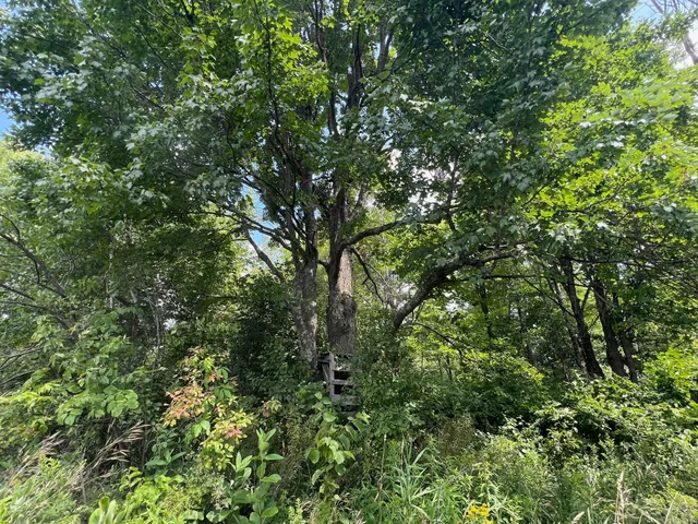 $314,900 | Tbd County Road M, Ogema, WI 54459