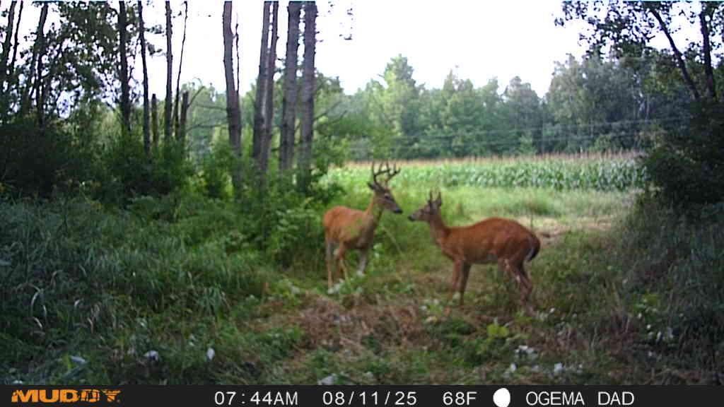 Tbd County Road M Ogema, WI 54459 - Photo 20 of 34