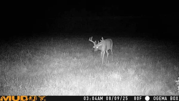 $299,900 | Tbd County Road M, Ogema, WI 54459