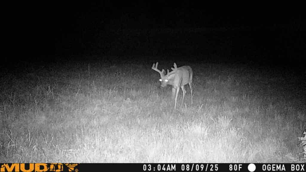 Tbd County Road M Ogema, WI 54459 - Photo 21 of 34
