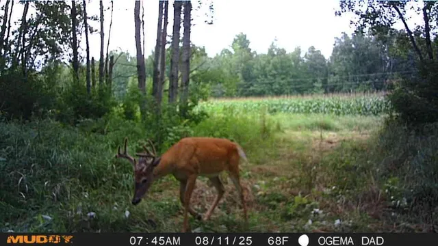 $314,900 | Tbd County Road M, Ogema, WI 54459