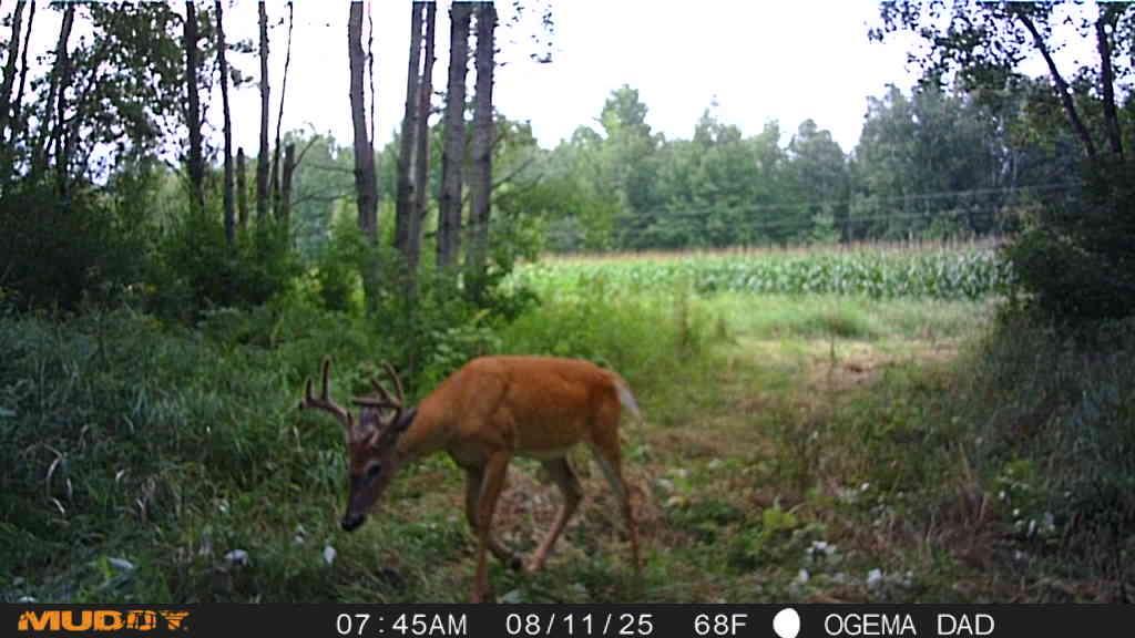 Tbd County Road M Ogema, WI 54459 - Photo 22 of 34