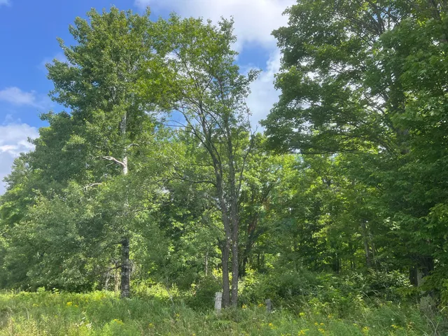 $314,900 | Tbd County Road M, Ogema, WI 54459
