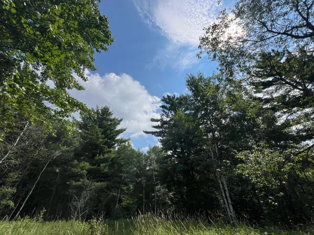 $314,900 | Tbd County Road M, Ogema, WI 54459
