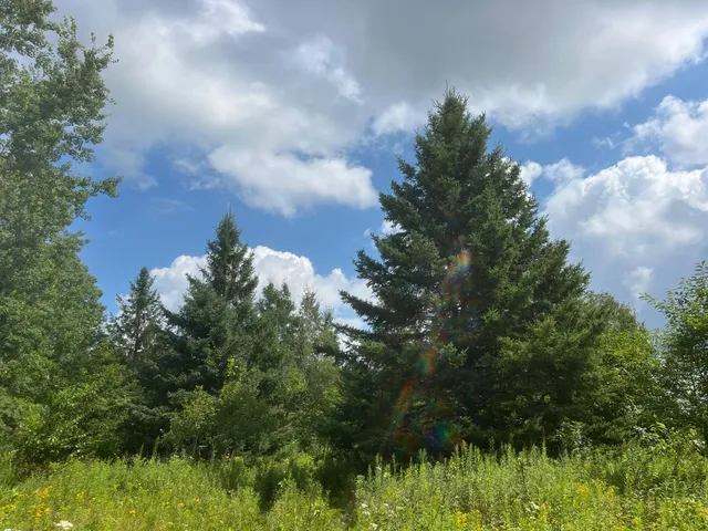 $314,900 | Tbd County Road M, Ogema, WI 54459