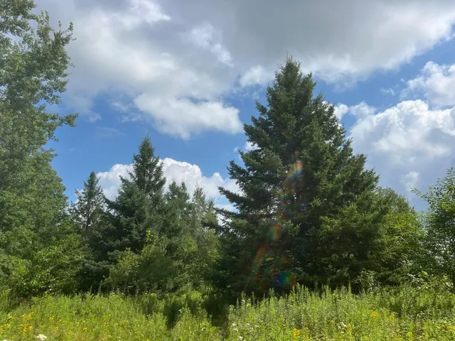 $314,900 | Tbd County Road M, Ogema, WI 54459