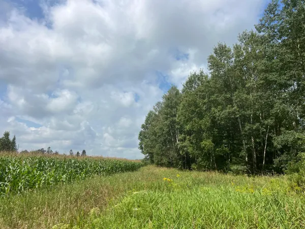 $299,900 | Tbd County Road M, Ogema, WI 54459