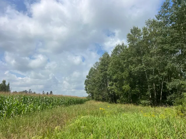 $314,900 | Tbd County Road M, Ogema, WI 54459