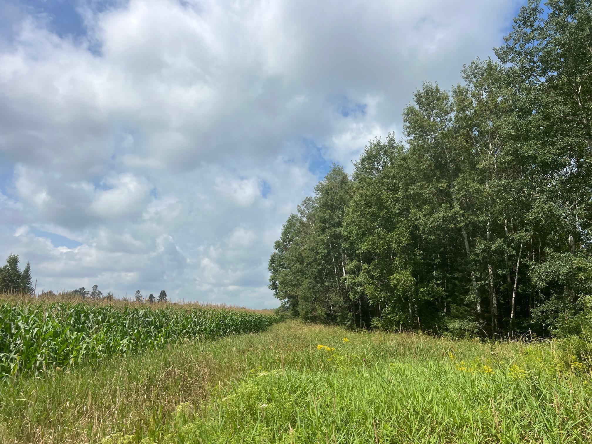 Tbd County Road M Ogema, WI 54459 - Photo 27 of 34