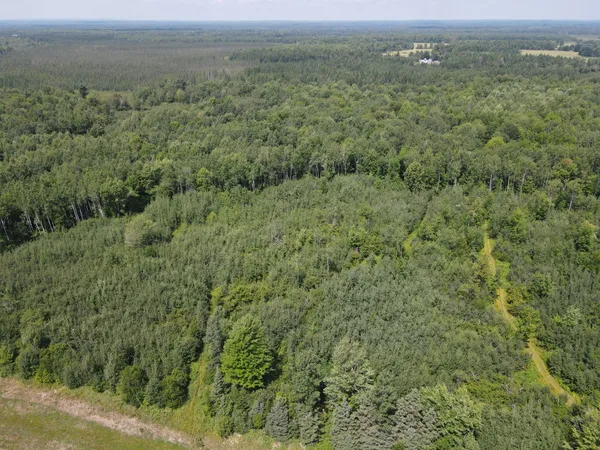 $299,900 | Tbd County Road M, Ogema, WI 54459