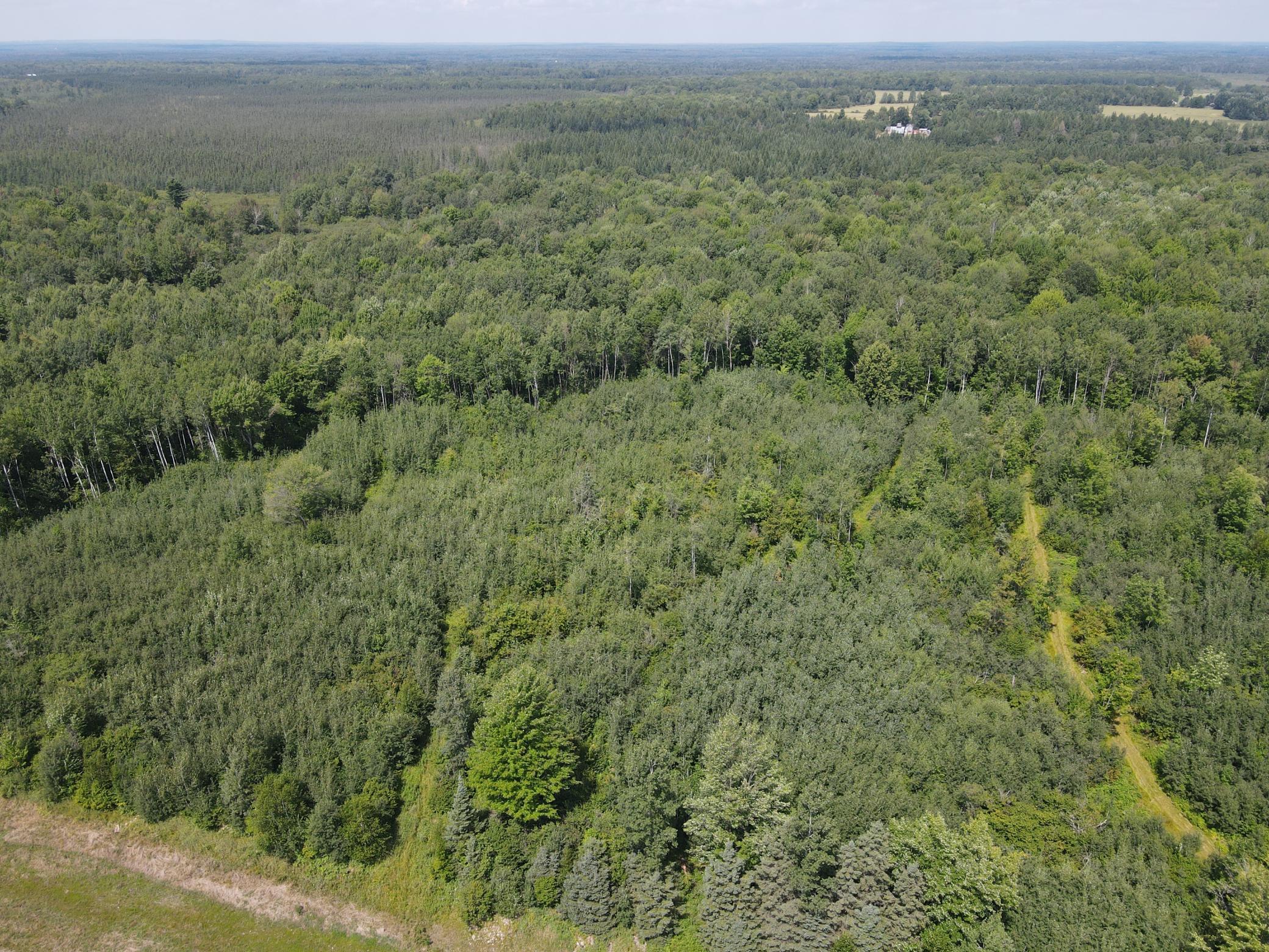 Tbd County Road M Ogema, WI 54459 - Photo 28 of 34