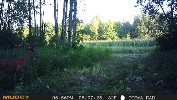 $299,900 | Tbd County Road M, Ogema, WI 54459