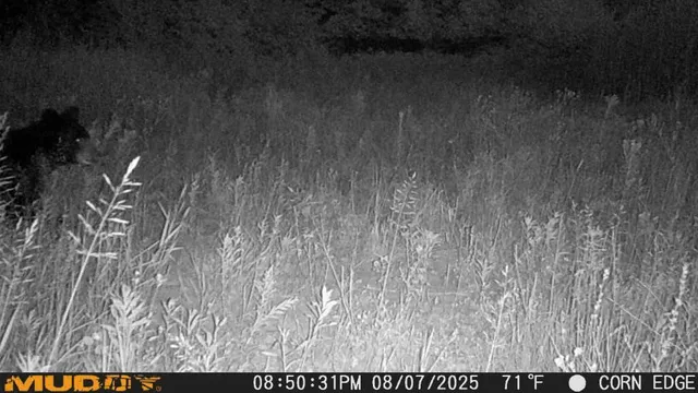 $314,900 | Tbd County Road M, Ogema, WI 54459