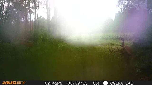 $314,900 | Tbd County Road M, Ogema, WI 54459