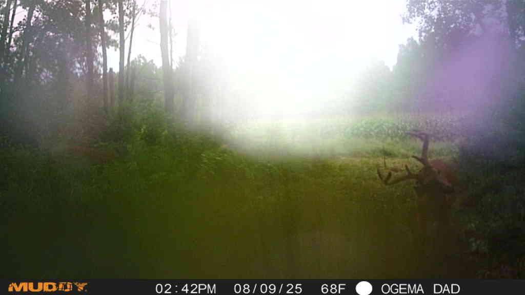 Tbd County Road M Ogema, WI 54459 - Photo 31 of 34