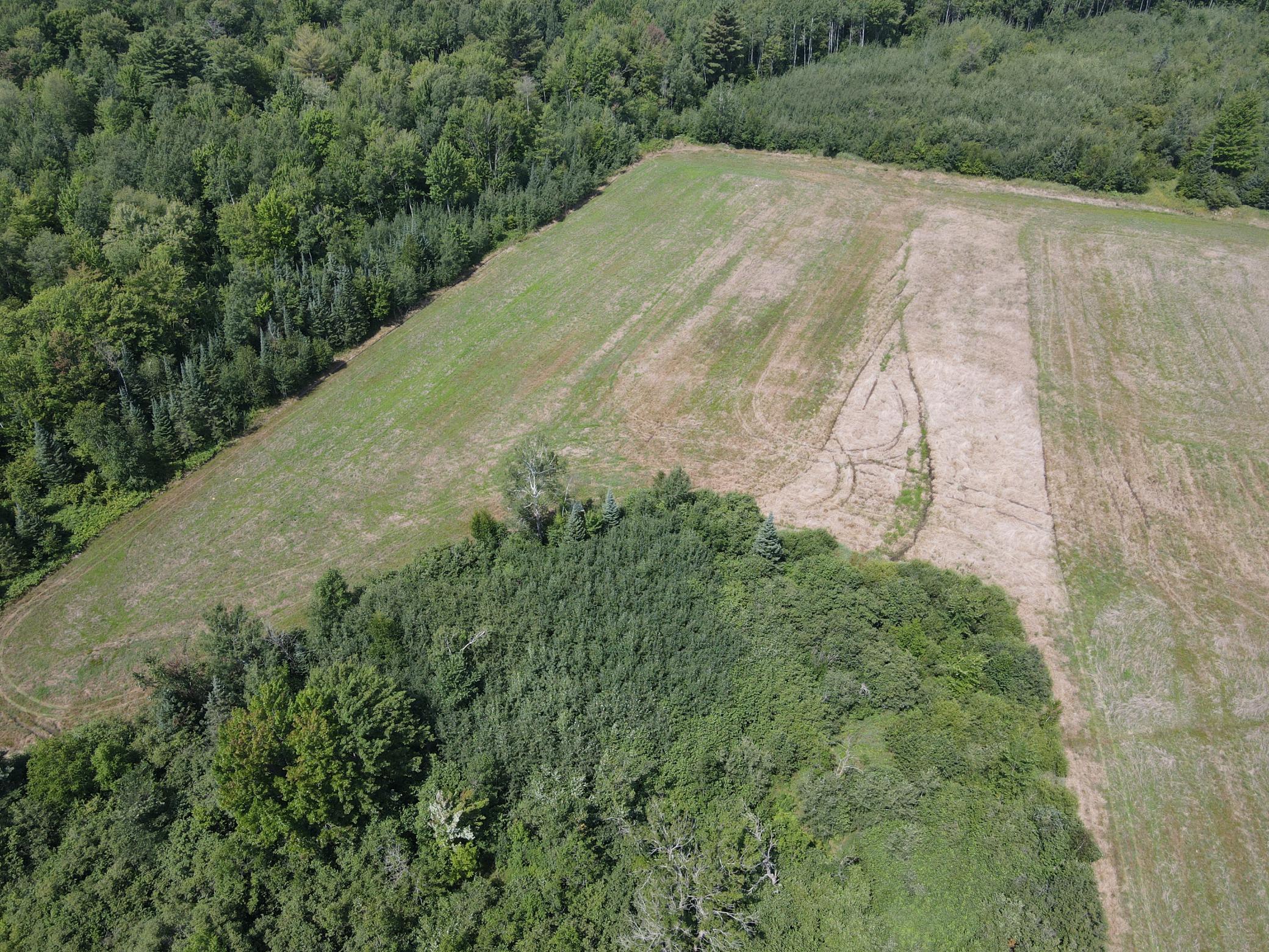 Tbd County Road M Ogema, WI 54459 - Photo 33 of 34