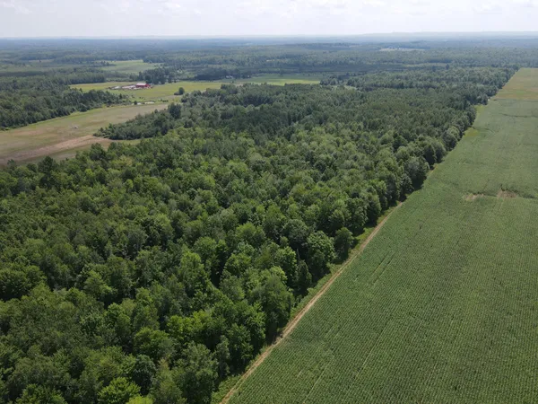 $299,900 | Tbd County Road M, Ogema, WI 54459