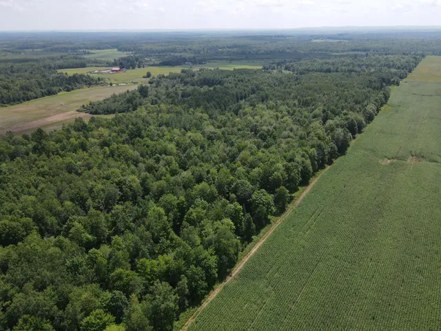 $314,900 | Tbd County Road M, Ogema, WI 54459