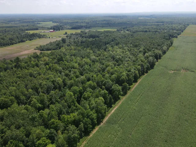 $314,900 | Tbd County Road M, Ogema, WI 54459