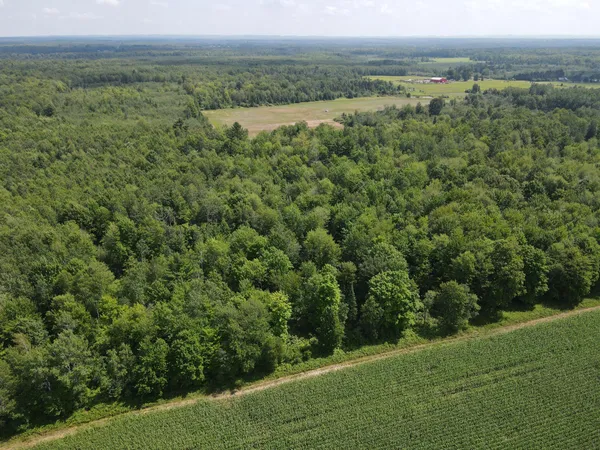 $299,900 | Tbd County Road M, Ogema, WI 54459