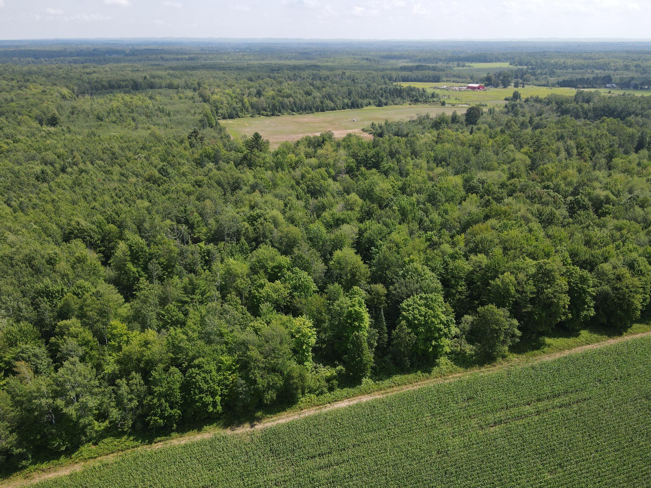 Tbd County Road M Ogema, WI 54459 - Photo 6 of 34