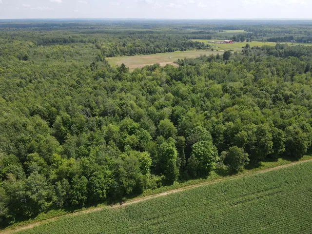 $314,900 | Tbd County Road M, Ogema, WI 54459