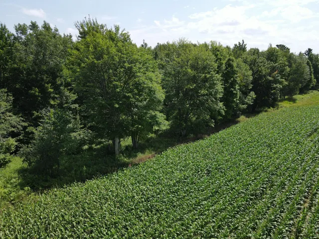 $314,900 | Tbd County Road M, Ogema, WI 54459