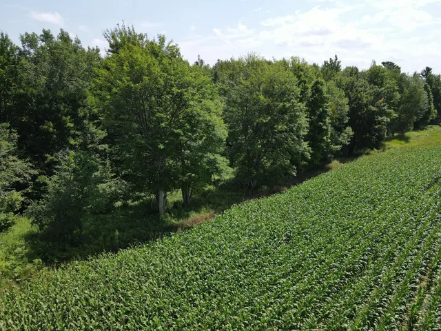 $314,900 | Tbd County Road M, Ogema, WI 54459