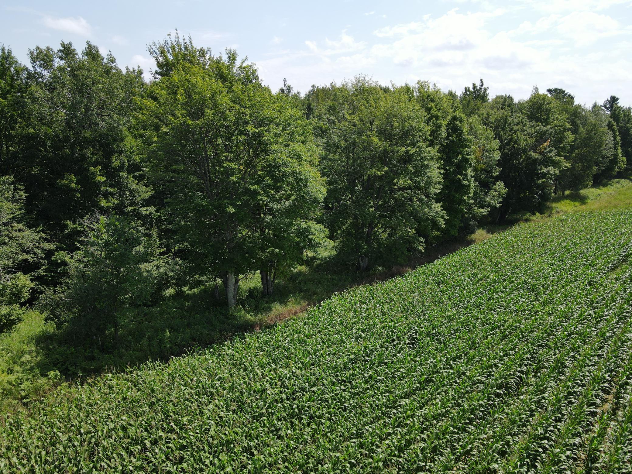 Tbd County Road M Ogema, WI 54459 - Photo 10 of 34