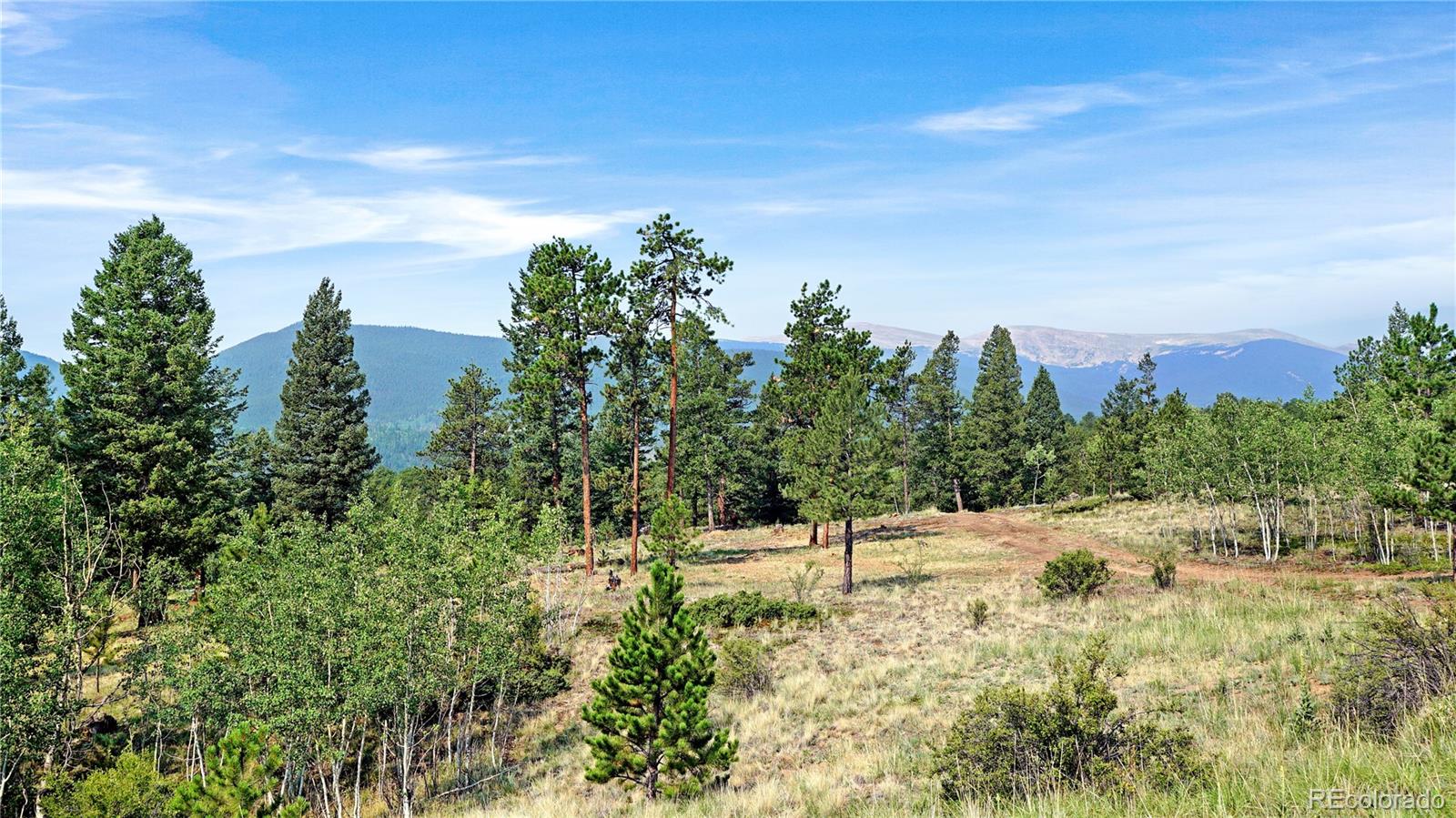 120 Rd P78 Bailey, CO 80421 - Photo 13 of 17 Gallery Image 13