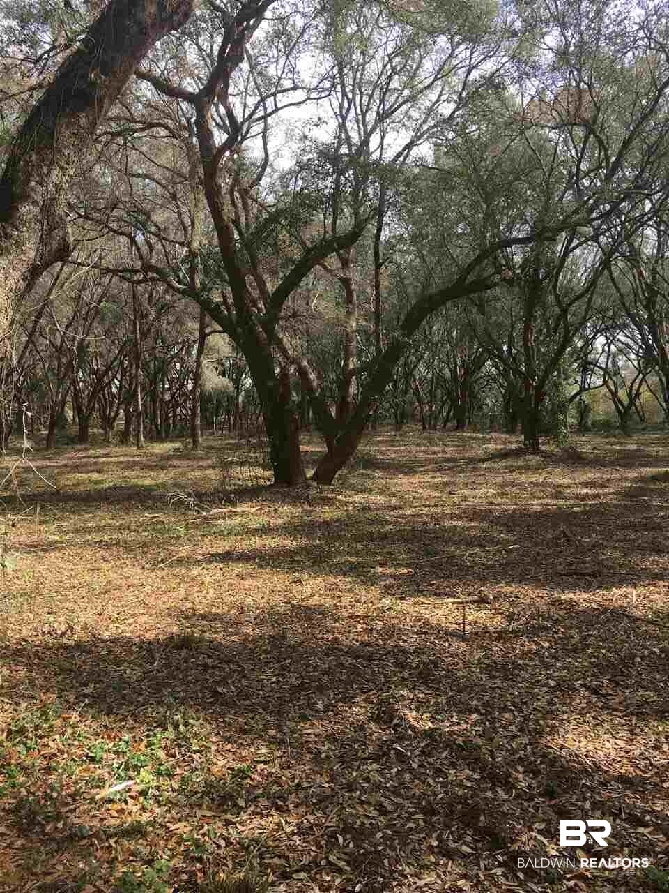 9690 Sherman Road Foley, AL 36535 - Photo 19 of 19