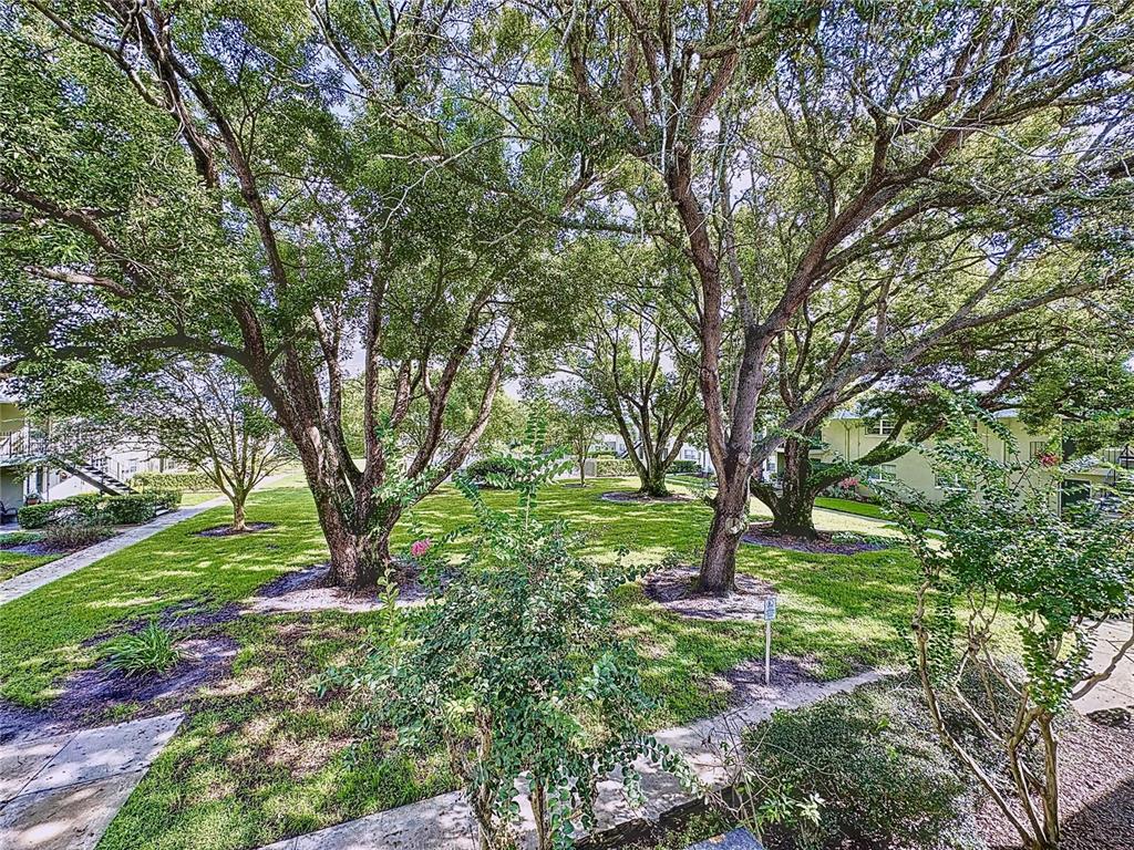525 South Conway Road, Unit 83 Orlando, FL 32807 - Photo 49 of 53 Gallery Image 49