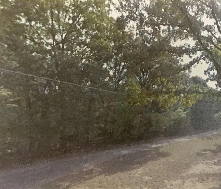 0 Plum Road Mabank, TX 75156 - Photo 1 of 1 a view of a forest