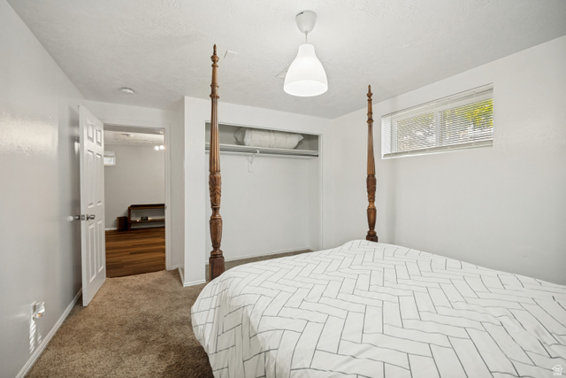1215 8th Street Ogden, UT 84404 - Photo 33 of 39 Room featuring carpet flooring, a window with horizontal blinds, and a white ceiling light fixture