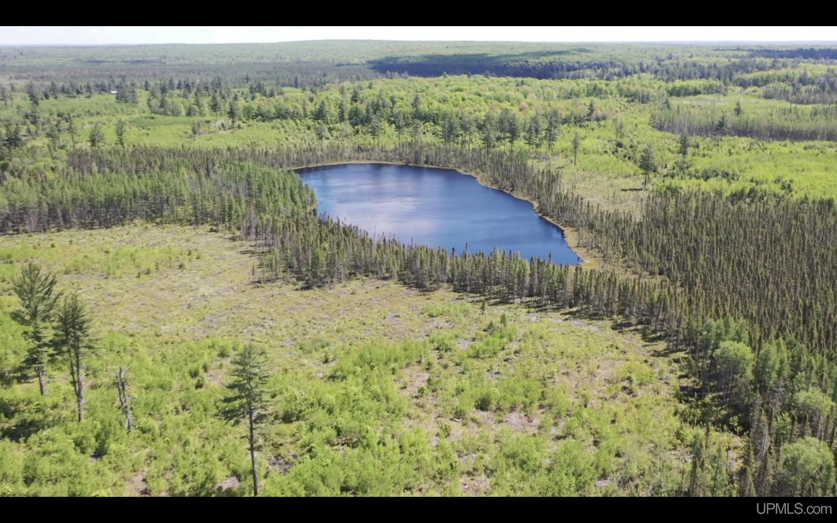 527 Usfs Road Iron River, MI 49935 - Photo 8 of 37