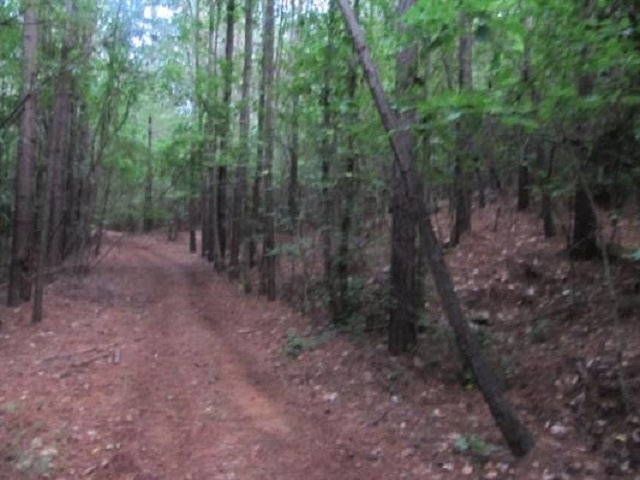 160 State Rd S-42-4359 Roebuck, SC 29376 - Photo 27 of 31 Gallery Image 27