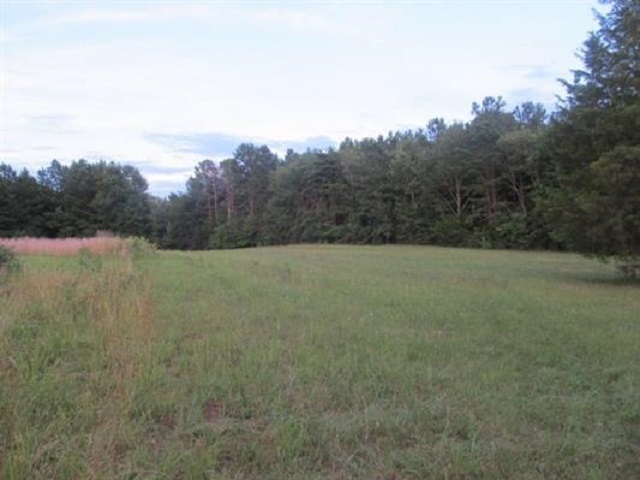 160 State Rd S-42-4359 Roebuck, SC 29376 - Photo 28 of 31 Gallery Image 28
