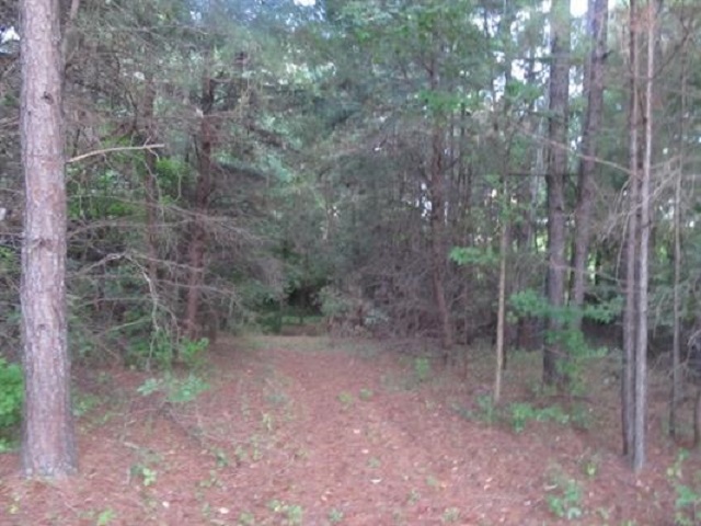 160 State Rd S-42-4359 Roebuck, SC 29376 - Photo 29 of 31 Gallery Image 29