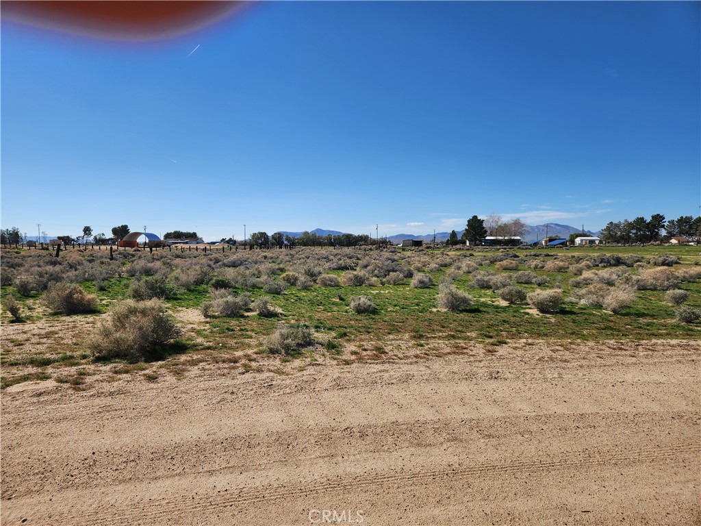 0 Yucca Road Newberry Springs, CA 92365 - Photo 3 of 20 a view of a dry yard with trees