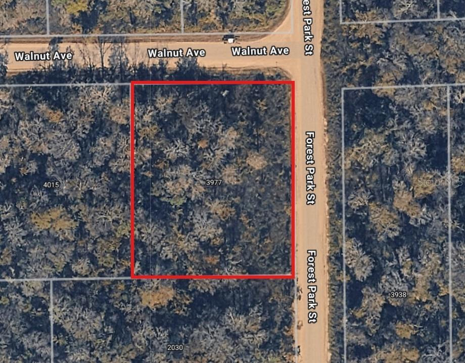 3977 Walnut Avenue Bunnell, FL 32110 - Photo 2 of 2