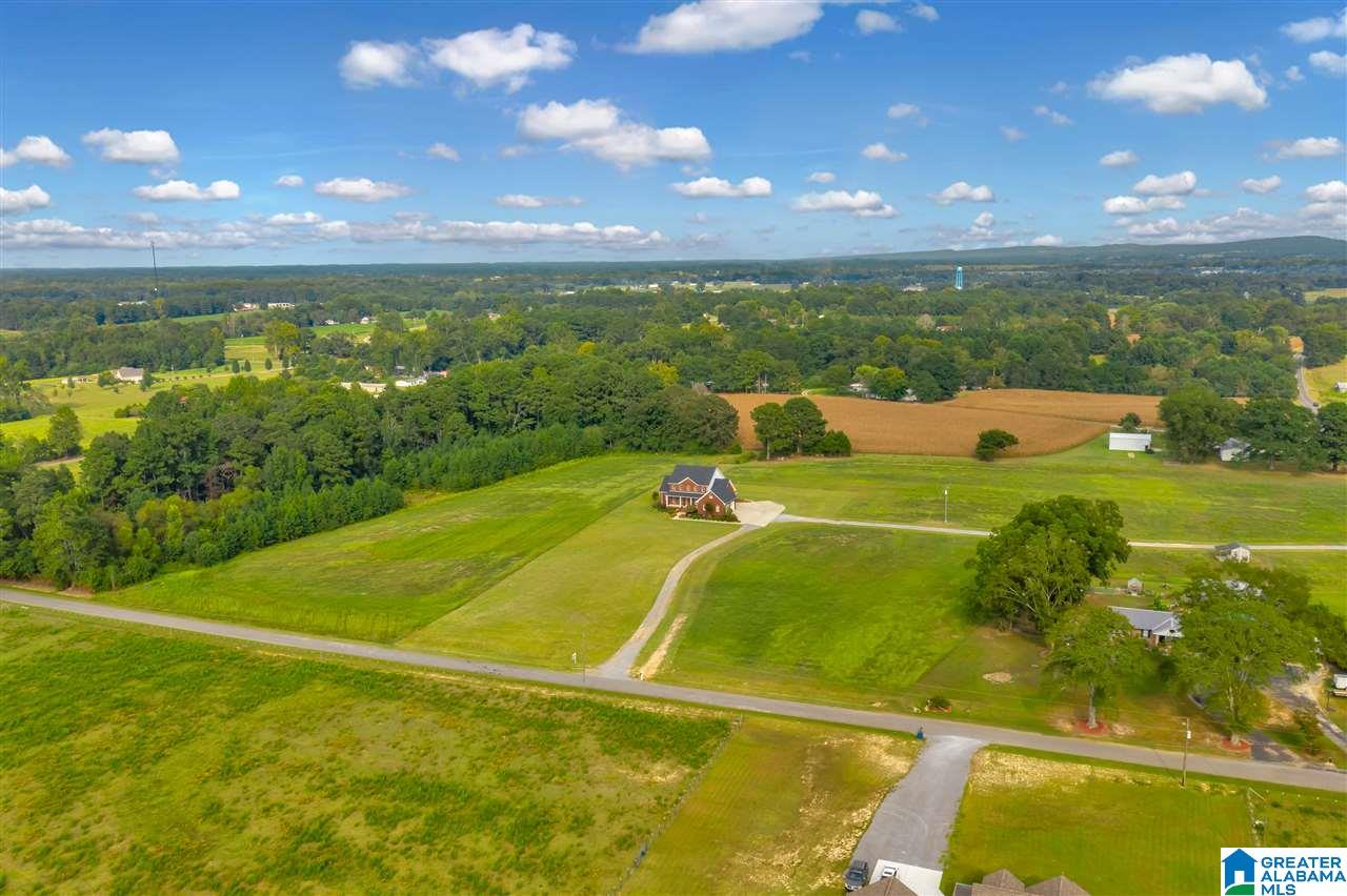 1080 Moore Road Altoona, AL 35952 - Photo 44 of 49