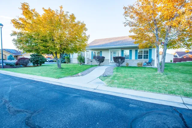 a view of a park with large trees