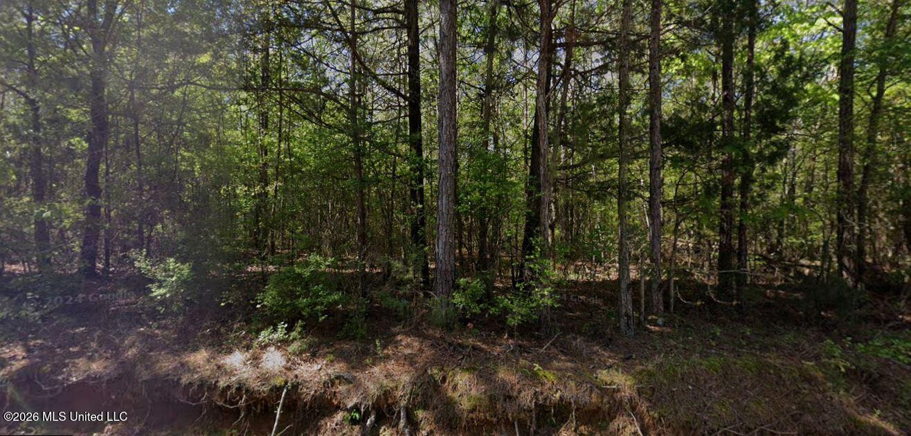 O Leary Road Camden, MS 39045 - Photo 4 of 4 Google Photo 4