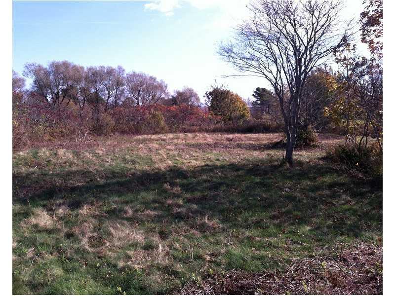 Land/Lot.