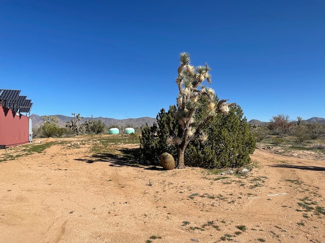 20810 South Cheyenne Road Yucca, AZ 86438 - Photo 12 of 26 a view of a snow on the beach