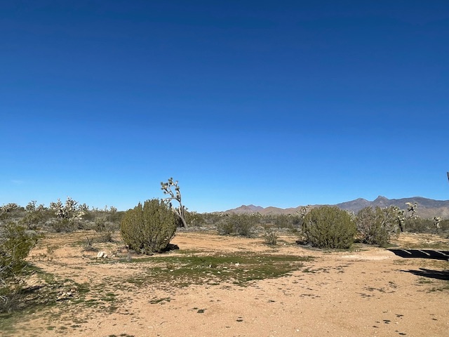 20810 South Cheyenne Road Yucca, AZ 86438 - Photo 21 of 26 a view of beach and mountain