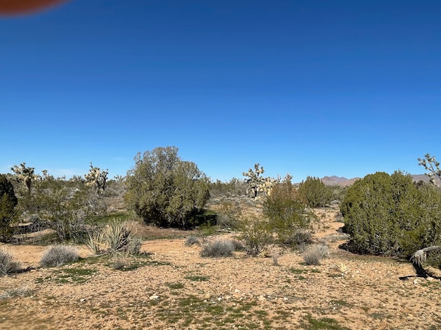 20810 South Cheyenne Road Yucca, AZ 86438 - Photo 22 of 26 a view of a road with a snow in the background