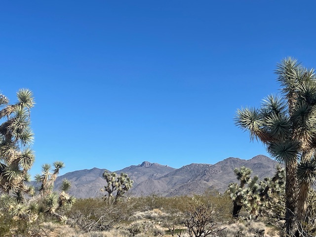 20810 South Cheyenne Road Yucca, AZ 86438 - Photo 23 of 26 a view of mountain with sunset in background