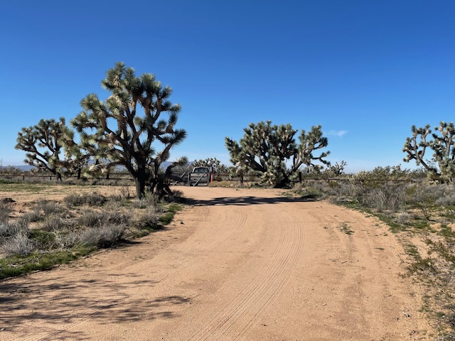 20810 South Cheyenne Road Yucca, AZ 86438 - Photo 3 of 26 a view of a snow on the road